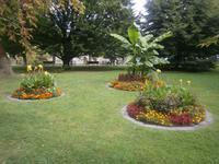 Im Park am Hafen von Konstanz