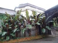 Eingang zur Trinkhalle Bad Reichenhall