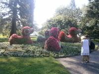 Eine Entenfamilie aus Blumen