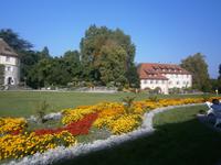 Insel Mainau, Park vor dem Schloß