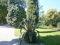 Der Park, eine Oase der Erholung 