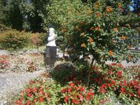 Umgeben von bunten Blumen