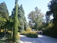 Interessante Gewächse im Park