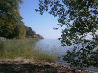 Blick auf den Bodensee