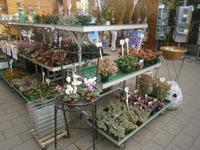 Einkaufsmöglichkeiten jeder Art