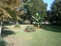 Parkgestaltung am Bodenseehafen