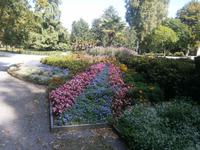 Der Herbst lässt grüßen