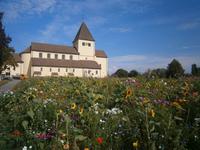 Vor der Kirche ein buntes Blumenfeld