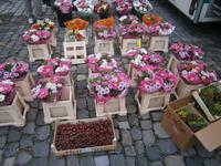 Auf dem Wochenmarkt von Lindau