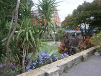 Grünpflanzen am Bodenseehafen von Lindau