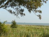 Bodden bei Wustrow