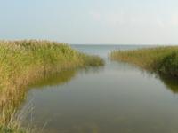 Bodden bei Wustrow 2