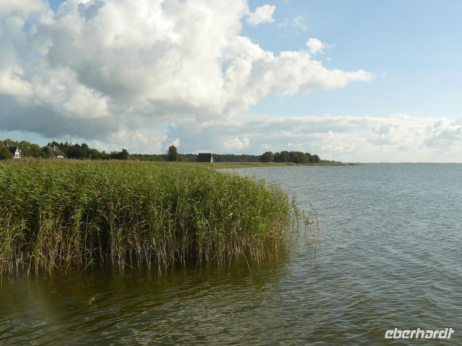 Bodden bei Born