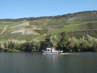 auf der Mosel