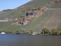 auf der Mosel
