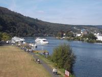 Mosel bei Traben Trarbach