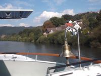 Neckar, kurz vor Neckarsteinach