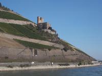 Burgruine Ehrenfels am Rhein