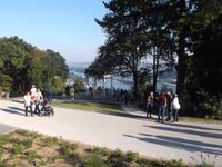 Blick ins Rheintal bei Rüdesheim