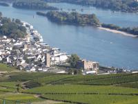 Blick auf Rüdesheim mit Brömserburg vom Niederwalddenkmal aus
