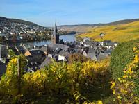 Blick auf Bernkastel von oben.