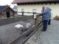 Stopp am Spreewälder Hofladen