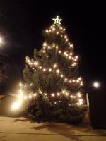 Weihnachtsbaum in Burg