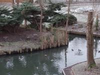 Morgenstimmung am Hotel