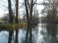 Kahnfahrt auf der Spree