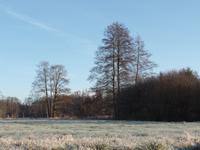 Kahnfahrt auf der Spree