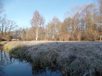 Kahnfahrt auf der Spree
