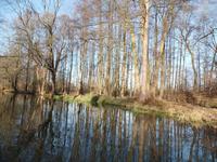 Kahnfahrt auf der Spree