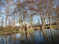Kahnfahrt auf der Spree