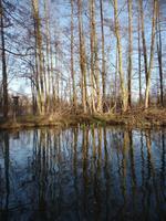 Kahnfahrt auf der Spree