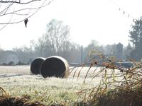 Kahnfahrt auf der Spree