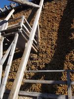 Bad Dürrenberg, Gradierwerk