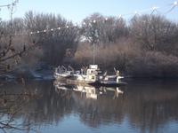 Saalefähre in Wettin