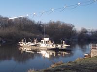 Saalefähre in Wettin