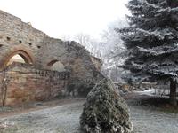 Ruine des Klosters Memleben