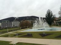 Rosengarten Bad Kissingen