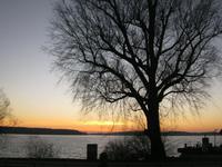 IMG_7116  Müritz Sonnenuntergang