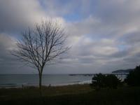 05 Blick zur Seebrücke