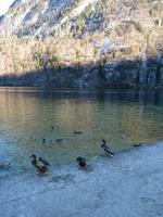 Königsee St. Bartholomä