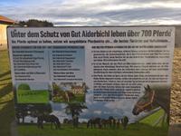 Pferde in Gut Aiderbichl haben's gut.