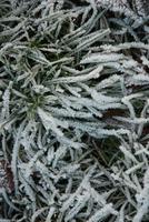 Neujahr 2017 - Winter in Thüringen