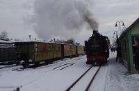 Mit dem Lößnitzdackel - der Schmalspurbahn im Lößnitzgrund - fuhren wir in Richtung Moritzburg