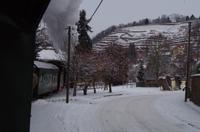 Vorbei an den Radebeuler Weinbergen