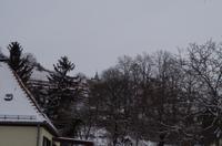 Vorbei an den Radebeuler Weinbergen