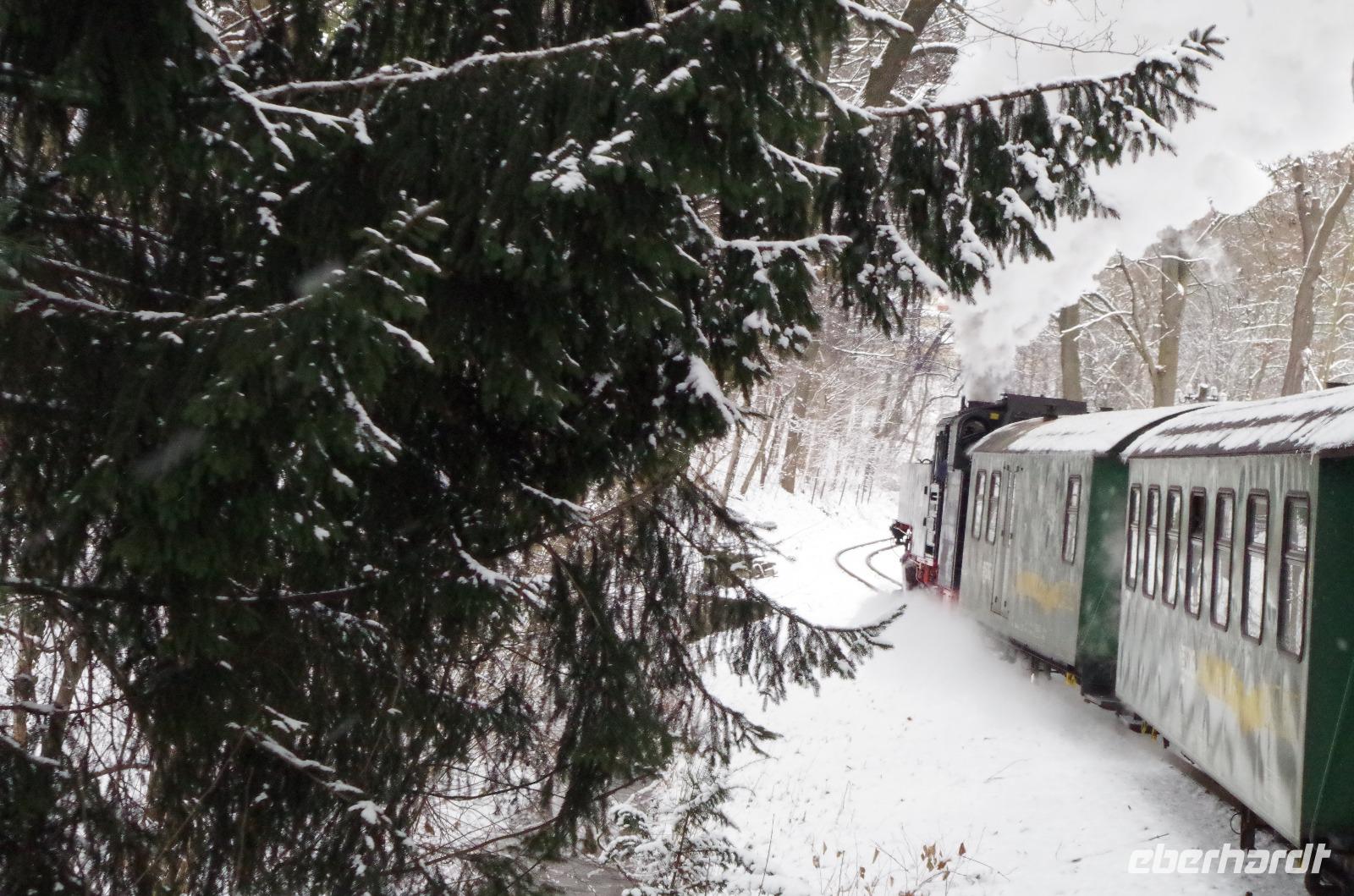 Eine romantische Bahnfahrt durch die weiße Winterlandschaft