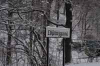 Eine romantische Bahnfahrt durch die weiße Winterlandschaft